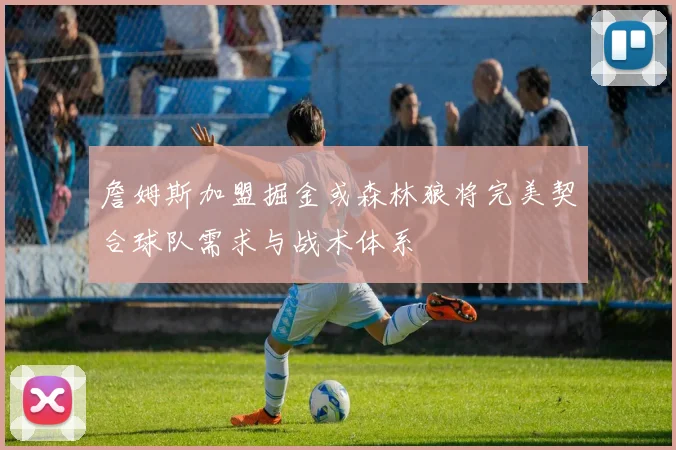 詹姆斯加盟掘金或森林狼将完美契合球队需求与战术体系