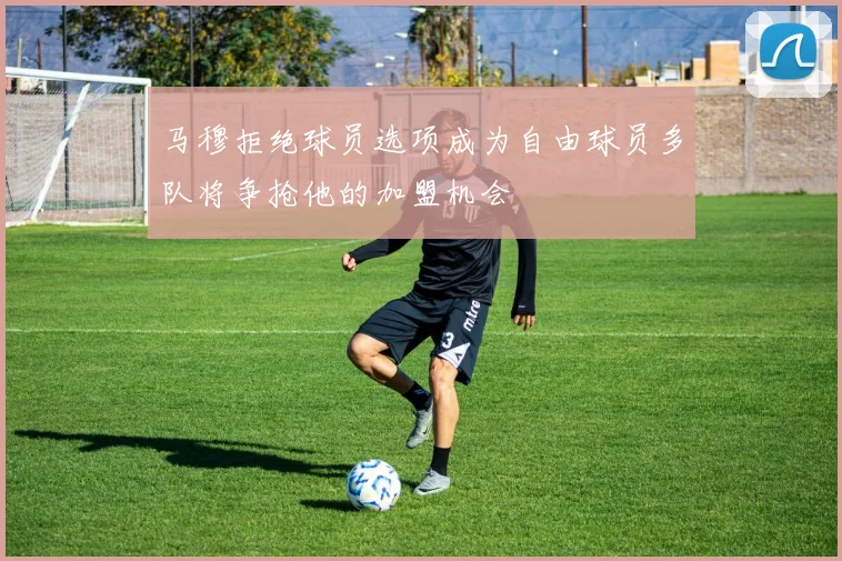 马穆拒绝球员选项成为自由球员多队将争抢他的加盟机会